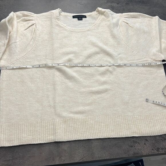 NWT Sanctuary pretty pleats soft sweater 3X - Picture 3 of 7